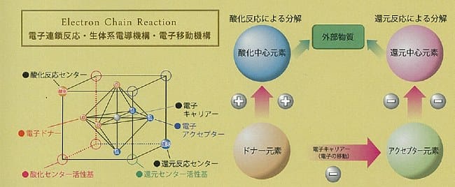 暗所でも機能する触媒って？